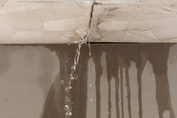 Professional Water Damage Repair technician working in Oswego, IL